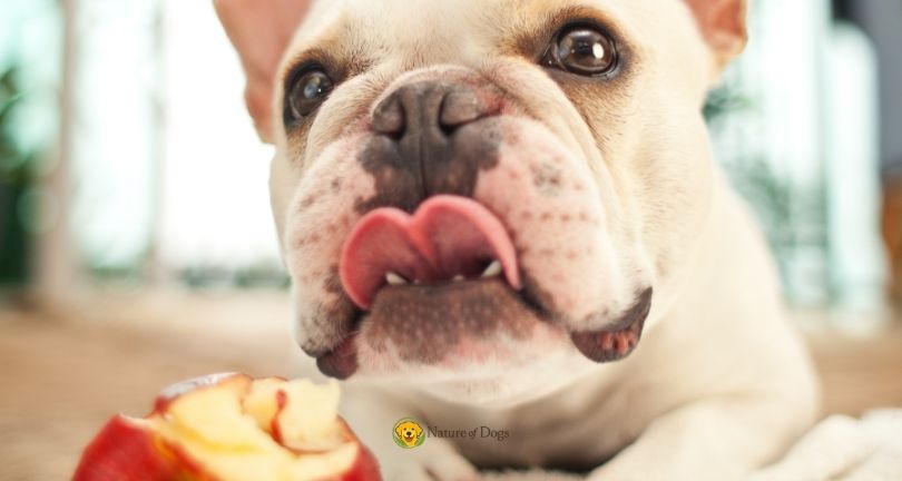 Can Dogs Eat Apples With Skin On
