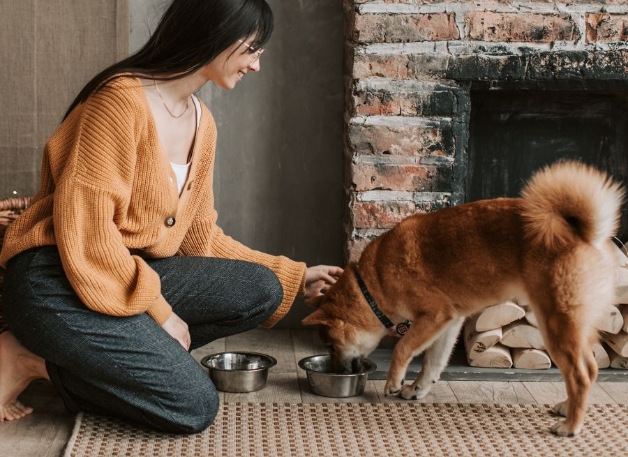 How Much Should I Feed My Puppy by Age