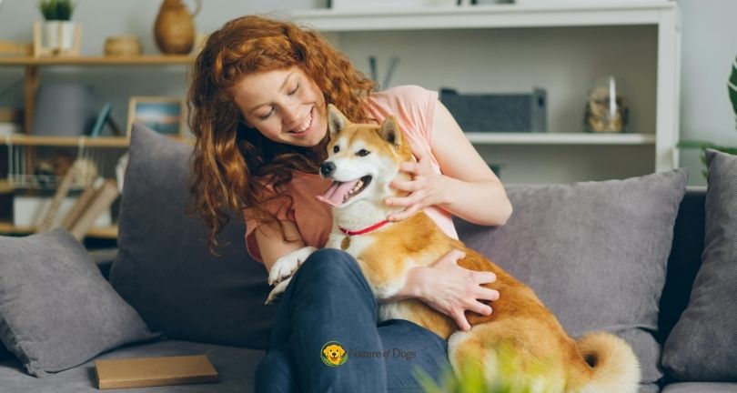 How to Care for a Dog After Spaying or Neutering