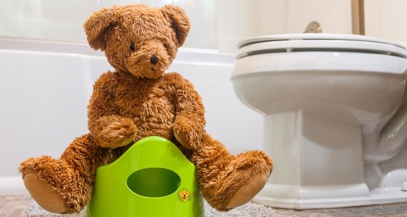 How to Potty Train a Puppy in an Apartment