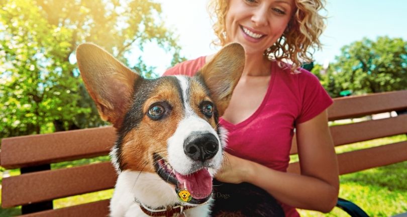 8 Dog Care Essentials Every First-Time Owner Needs