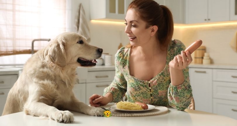 8 Human Foods Dogs Can Eat Safely
