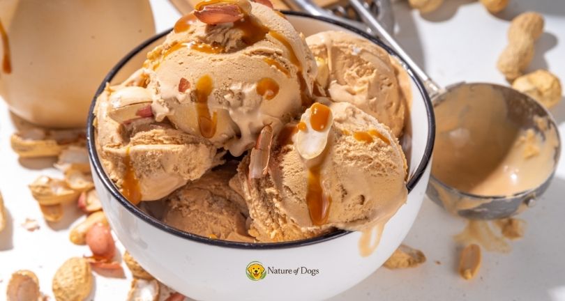 Can Dogs Eat Peanut Butter With Honey
