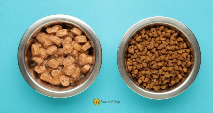 Dry Dog Food vs Wet Dog Food