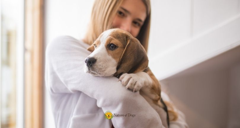 Puppy Care Checklist