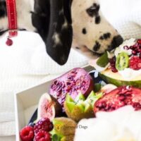 What Fruits Can Dogs Eat Safely Every Day