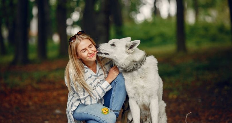 Why Do Dogs Lick Your Hands and Face