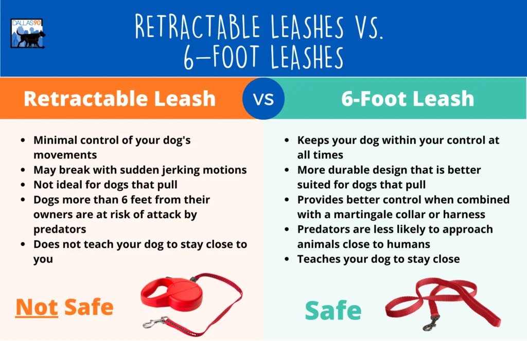A standard leash and a retractable leash displayed together for a dog leash comparison.