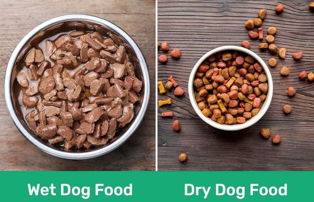Ceramic bowls featuring dry kibble and wet dog food side by side.