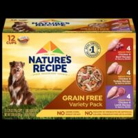 A small dog chooses between bowls of dry and wet dog food options.