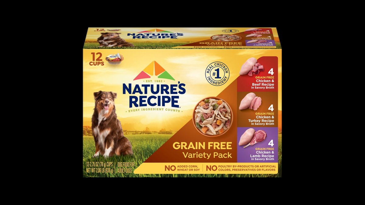 A small dog chooses between bowls of dry and wet dog food options.
