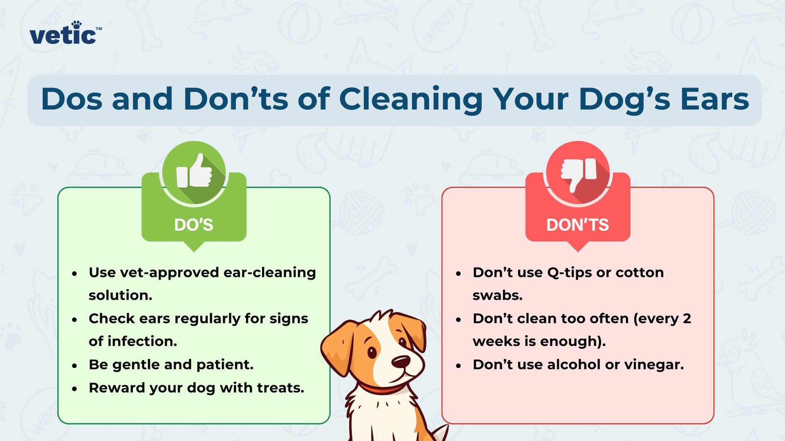 Essential supplies for cleaning your dog's ears safely including solution and cotton balls.