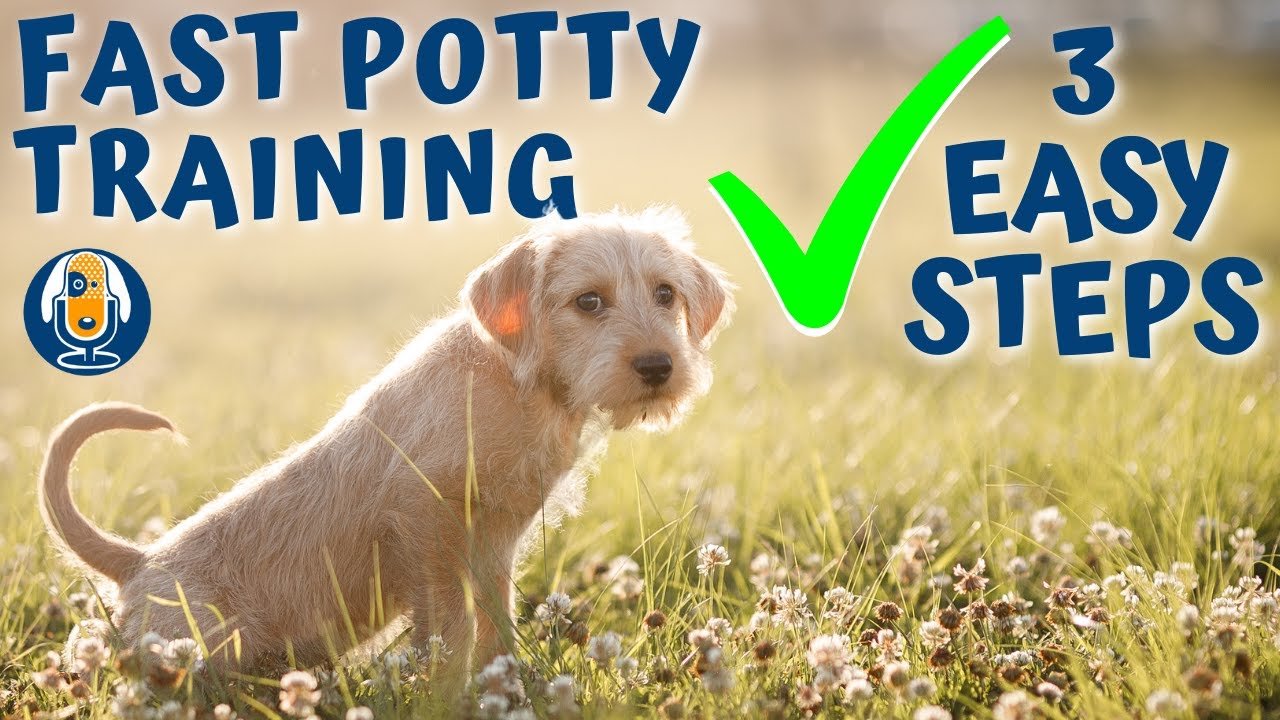 Essential supplies for effective puppy potty training arranged on a clean wooden floor.