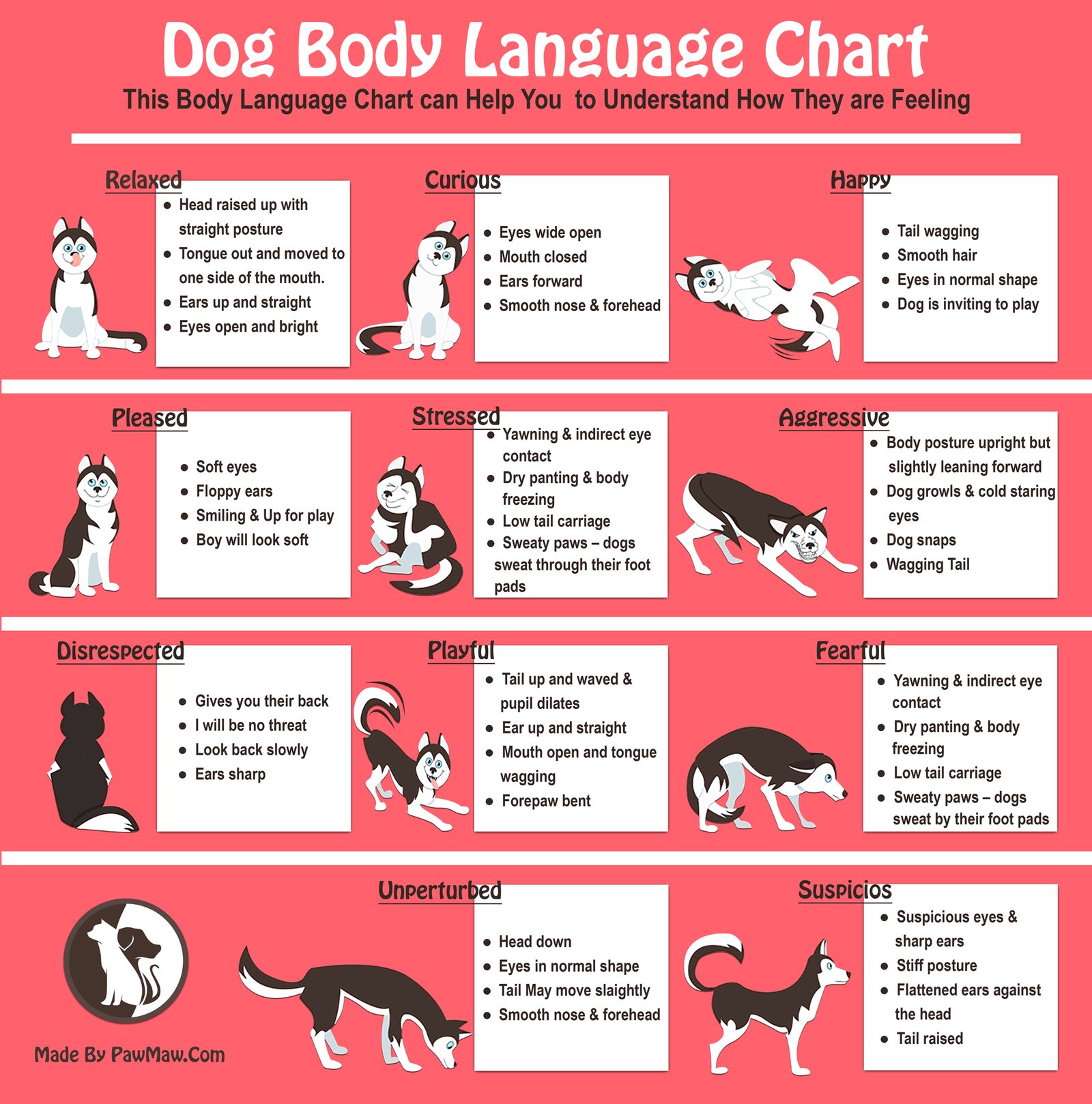 A golden retriever stands in a garden to illustrate understanding dog body language basics.