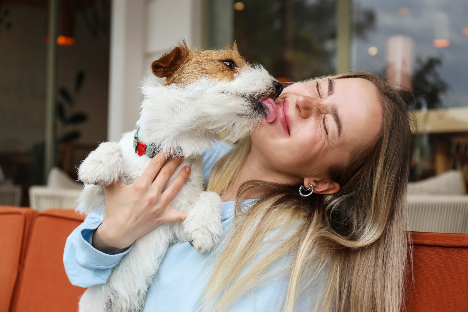 A friendly dog gently licks a person's hand in a warm, sunlit room.